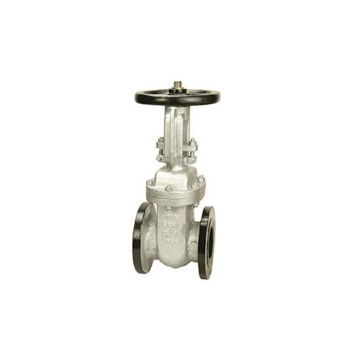 Sant Cast Steel Gate Valve 250 mm, CS 7